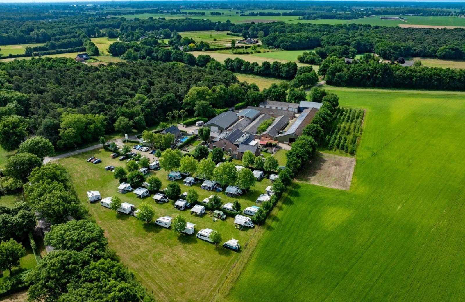 Overview receptie bij de 3 linden